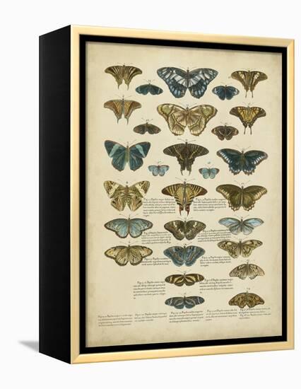 Tabula De Papilio-Sloan-Framed Stretched Canvas