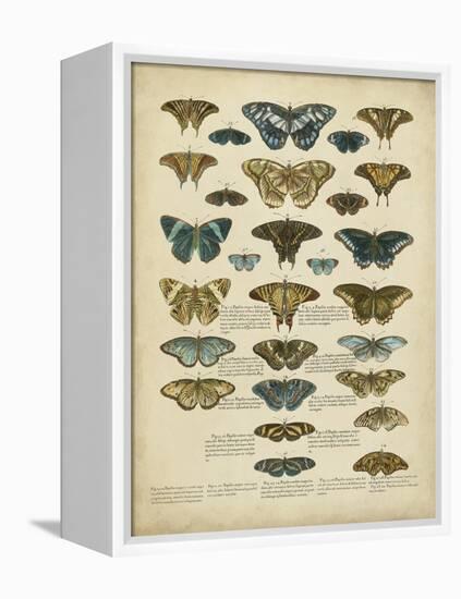 Tabula De Papilio-Sloan-Framed Stretched Canvas