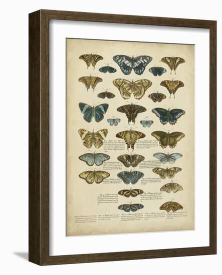 Tabula De Papilio-Sloan-Framed Art Print