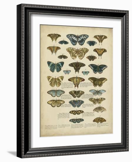 Tabula De Papilio-Sloan-Framed Art Print