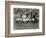 Tacoma All Star Baseball Team, 1924-Marvin Boland-Framed Giclee Print