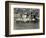 Tacoma All Star Baseball Team, 1924-Marvin Boland-Framed Giclee Print