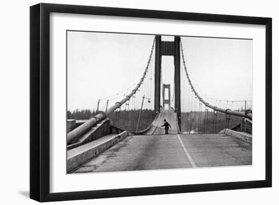 Tacoma, Washington - November 7, 1940 - Tacoma Narrows Bridge - Man on Bridge-Lantern Press-Framed Art Print