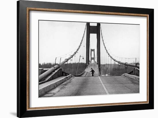 Tacoma, Washington - November 7, 1940 - Tacoma Narrows Bridge - Man on Bridge-Lantern Press-Framed Art Print