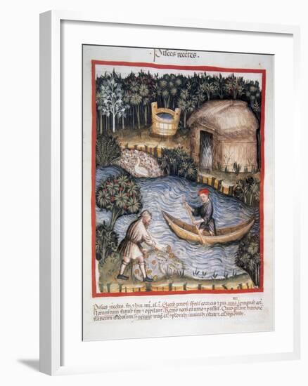 Tacuinum Sanitatis. 14th Century. Medieval Handbook of Health. Fishermen in a River-null-Framed Giclee Print