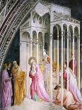 St Joachim Being Expelled from Temple, Detail from Stories of Virgin-Taddeo Gaddi-Giclee Print