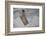 Tag with Fish Motive-Andrea Haase-Framed Photographic Print