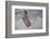 Tag with Fish Motive-Andrea Haase-Framed Photographic Print