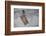 Tag with Fish Motive-Andrea Haase-Framed Photographic Print