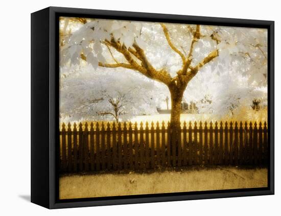 Tagbean-Craig Satterlee-Framed Premier Image Canvas