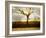 Tagbean-Craig Satterlee-Framed Photographic Print