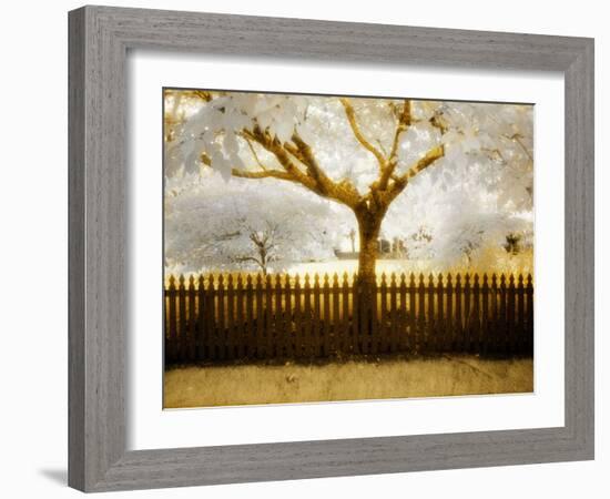 Tagbean-Craig Satterlee-Framed Photographic Print