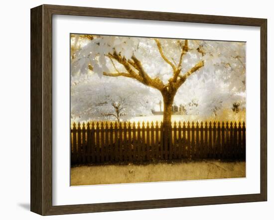 Tagbean-Craig Satterlee-Framed Photographic Print