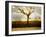 Tagbean-Craig Satterlee-Framed Photographic Print