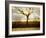 Tagbean-Craig Satterlee-Framed Photographic Print