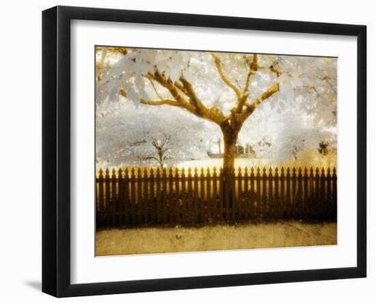 Tagbean-Craig Satterlee-Framed Photographic Print