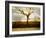 Tagbean-Craig Satterlee-Framed Photographic Print