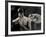 Tagbuzz-Fabio Panichi-Framed Photographic Print