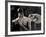 Tagbuzz-Fabio Panichi-Framed Photographic Print