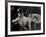 Tagbuzz-Fabio Panichi-Framed Photographic Print