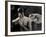 Tagbuzz-Fabio Panichi-Framed Photographic Print