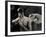 Tagbuzz-Fabio Panichi-Framed Photographic Print