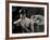 Tagbuzz-Fabio Panichi-Framed Photographic Print