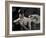 Tagbuzz-Fabio Panichi-Framed Photographic Print