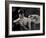 Tagbuzz-Fabio Panichi-Framed Photographic Print