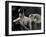 Tagbuzz-Fabio Panichi-Framed Photographic Print