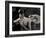 Tagbuzz-Fabio Panichi-Framed Photographic Print