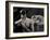 Tagbuzz-Fabio Panichi-Framed Photographic Print