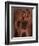 Tagfish-Fabio Panichi-Framed Photographic Print