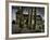 Taglist-Tim Kahane-Framed Photographic Print