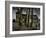 Taglist-Tim Kahane-Framed Photographic Print