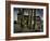 Taglist-Tim Kahane-Framed Photographic Print