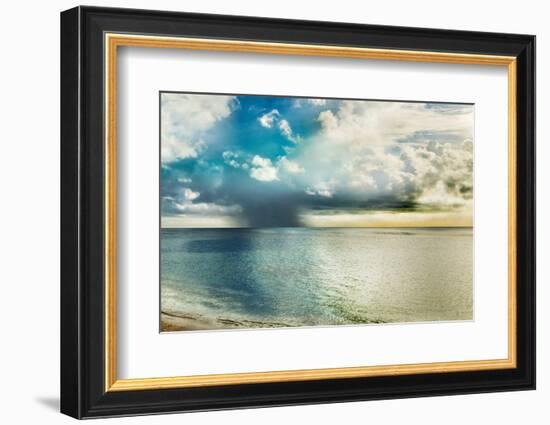 Tahiti-Danita Delimont-Framed Photo