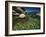 Tahoe Cave-Natalie Mikaels-Framed Photographic Print