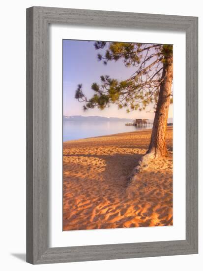 Tahoe Lake Tree-Vincent James-Framed Photographic Print