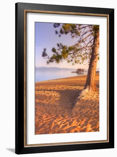 Tahoe Lake Tree-Vincent James-Framed Photographic Print
