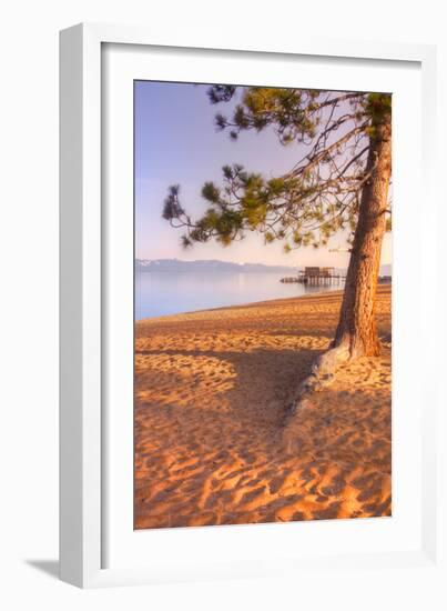 Tahoe Lake Tree-Vincent James-Framed Photographic Print