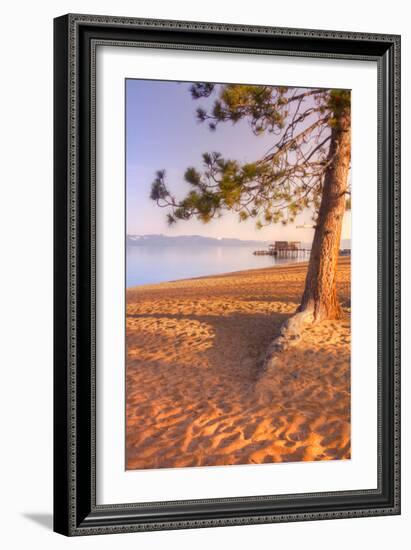 Tahoe Lake Tree-Vincent James-Framed Photographic Print