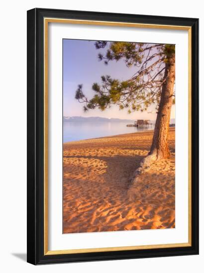 Tahoe Lake Tree-Vincent James-Framed Photographic Print