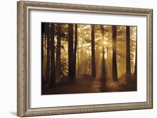 Tahoe Smoky Sunrise-Mike Jones-Framed Giclee Print