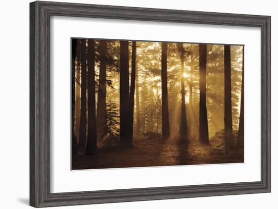 Tahoe Smoky Sunrise-Mike Jones-Framed Giclee Print