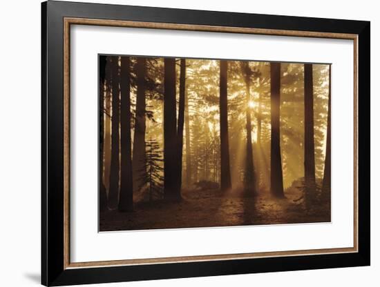 Tahoe Smoky Sunrise-Mike Jones-Framed Giclee Print