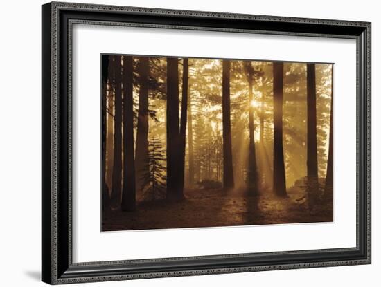 Tahoe Smoky Sunrise-Mike Jones-Framed Giclee Print