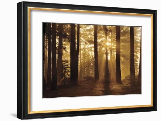 Tahoe Smoky Sunrise-Mike Jones-Framed Giclee Print