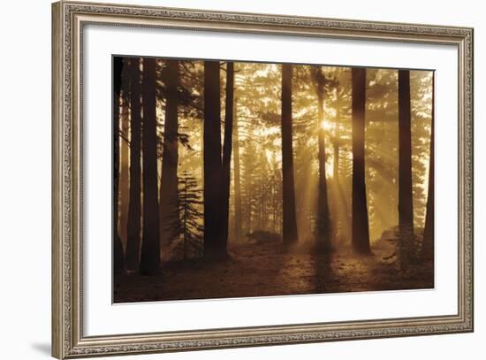 Tahoe Smoky Sunrise-Mike Jones-Framed Giclee Print