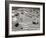 Tahoe Snow 1-Lee Peterson-Framed Photographic Print
